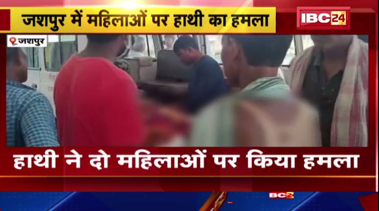 जशपुर में महिलाओं पर हाथी का हमला। घायल महिला को रायगढ़ किया रेफेर। देखिए..