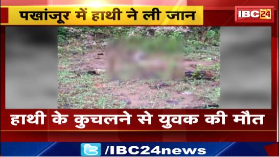 पखांजूर में हाथी ने ली जान। बड़ेकापसी के पास मिला युवक का  शव। देखिए …