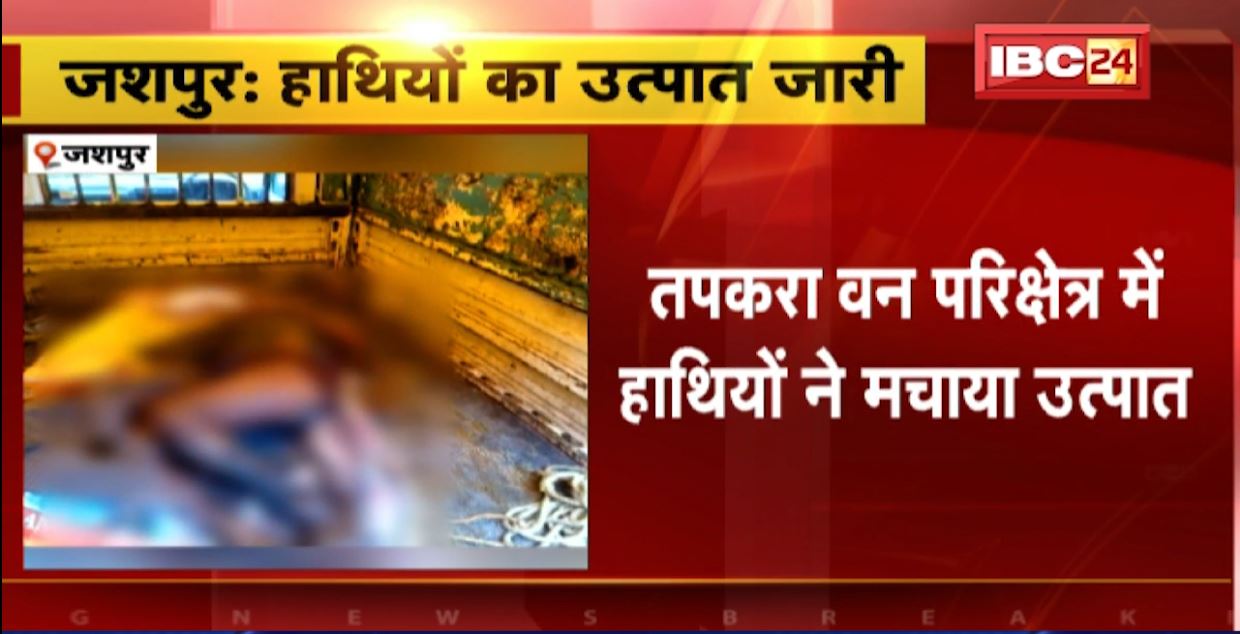 जशपुर के तपकरा वन परिक्षेत्र में हाथियों ने मचाया उत्पात। हाथियों के हमले से बुजुर्ग की मौत, घरों को पहुंचाया नुकसान। देखिए..