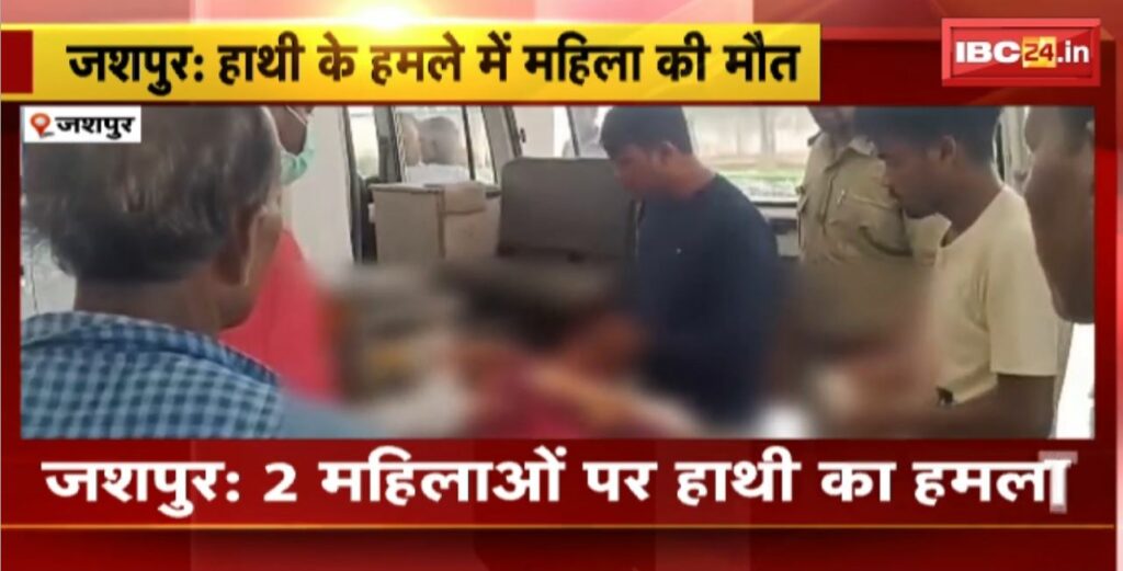 Jashpur Elephant Attack