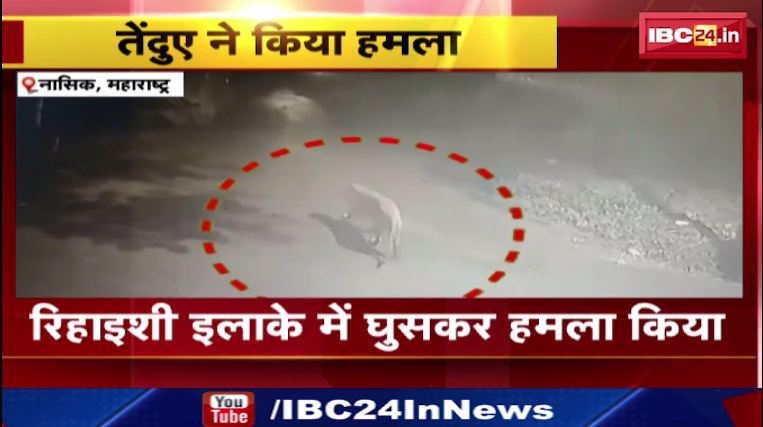 Nashik में तेंदुए ने किया हमला। हमले में एक युवक घायल। देखिए वीडियो…