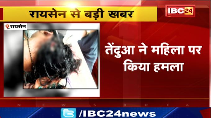 Raisen में तेंदुआ ने महिला पर किया हमला। हमले से महिला गंभीर रूप से घायल। देखिए वीडियो..