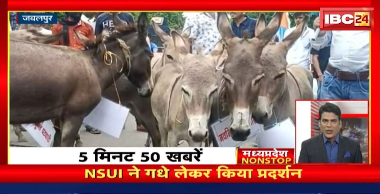 NSUI ने गधे लेकर किया प्रदर्शन। Madhya Pradesh Non Stop News | Today Top News