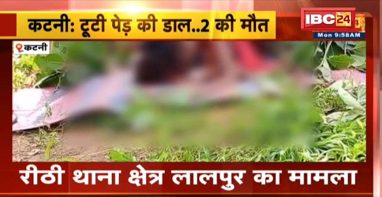 कटनी में पेड़ की डाल टूटने से मां-बेटे की मौत। खेत में रोपा लगाने के दौरान हुआ हादसा। देखिए…