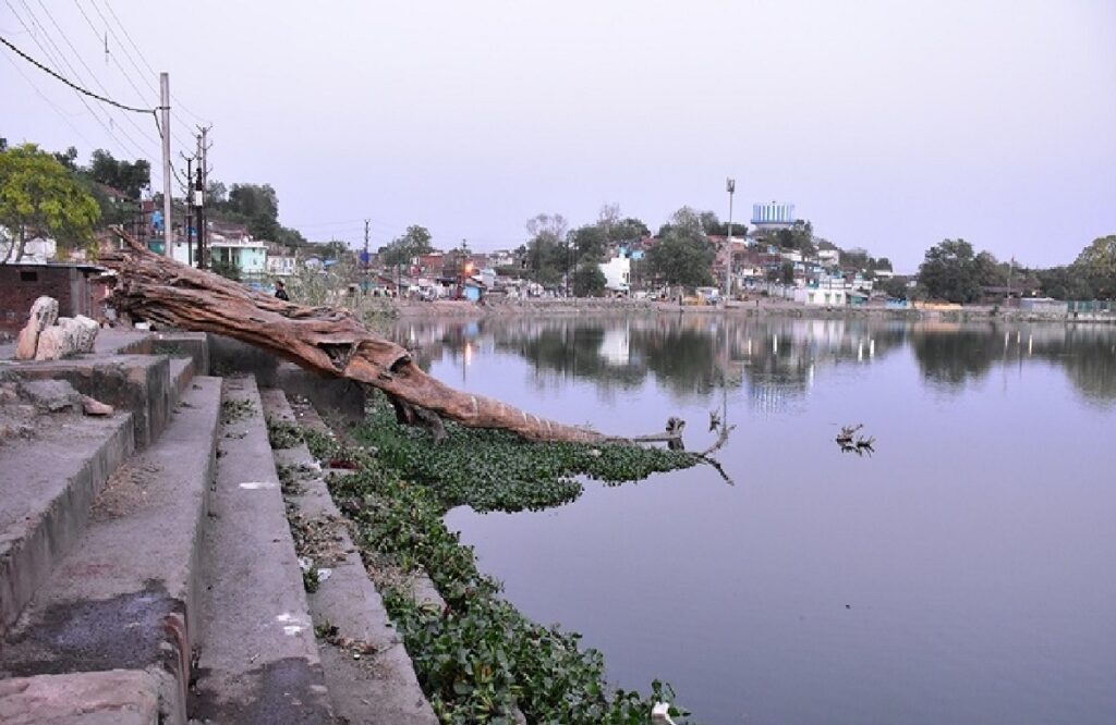 Number of ponds decreased from 52 to 26 in Jabalpur