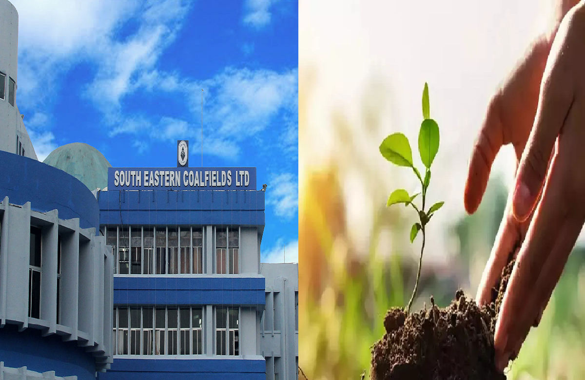 मध्यप्रदेश और छत्तीसगढ़ में पौधरोपण करेगी ये कंपनी, 168 करोड़ रुपये की राशि होगी खर्च