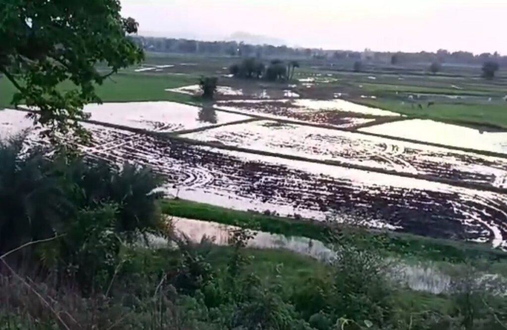 Waste water flowing from the pond due to damage to the sulus