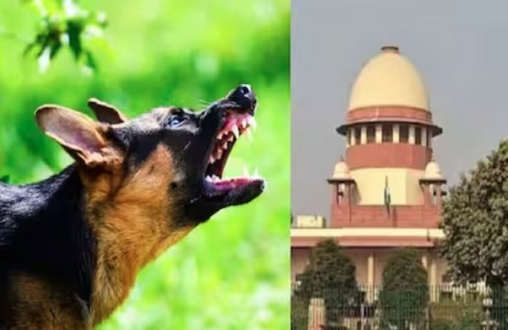 Plea in Supreme Court for euthanasia to dogs in Kerala