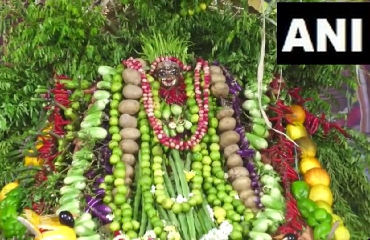 शुरू हुआ तीन दिवसीय शाकंभरी उत्सव, सब्जियों से हुआ देवी कनकदुर्गा का श्रृंगार, देखें वीडियो