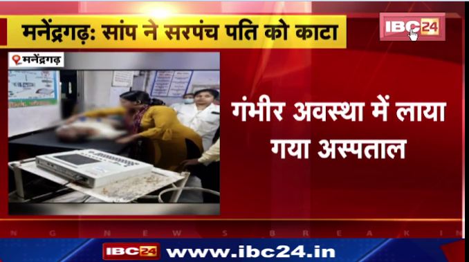 Manendragarh में सांप ने सरपंच पति को काटा। अस्पताल में डॉक्टर ने किया मृत घोषित। देखिए वीडियो..