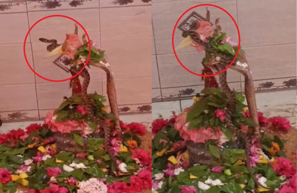 Sawan se Pahle Naag Devta ne Mandir me lagai hajiri