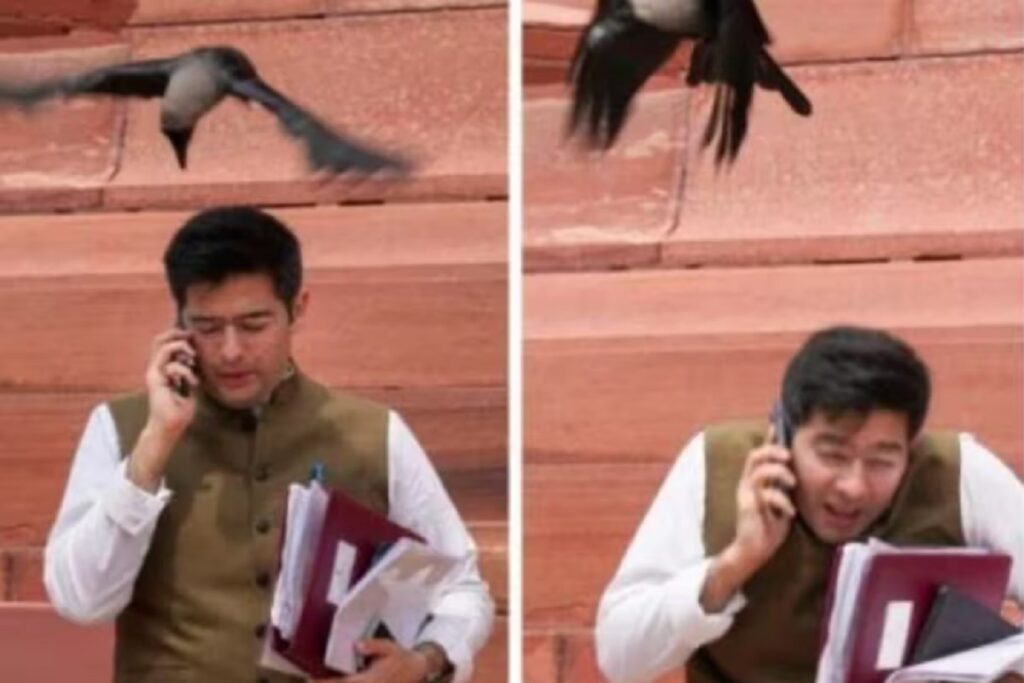 The crow beaked Raghav Chadha