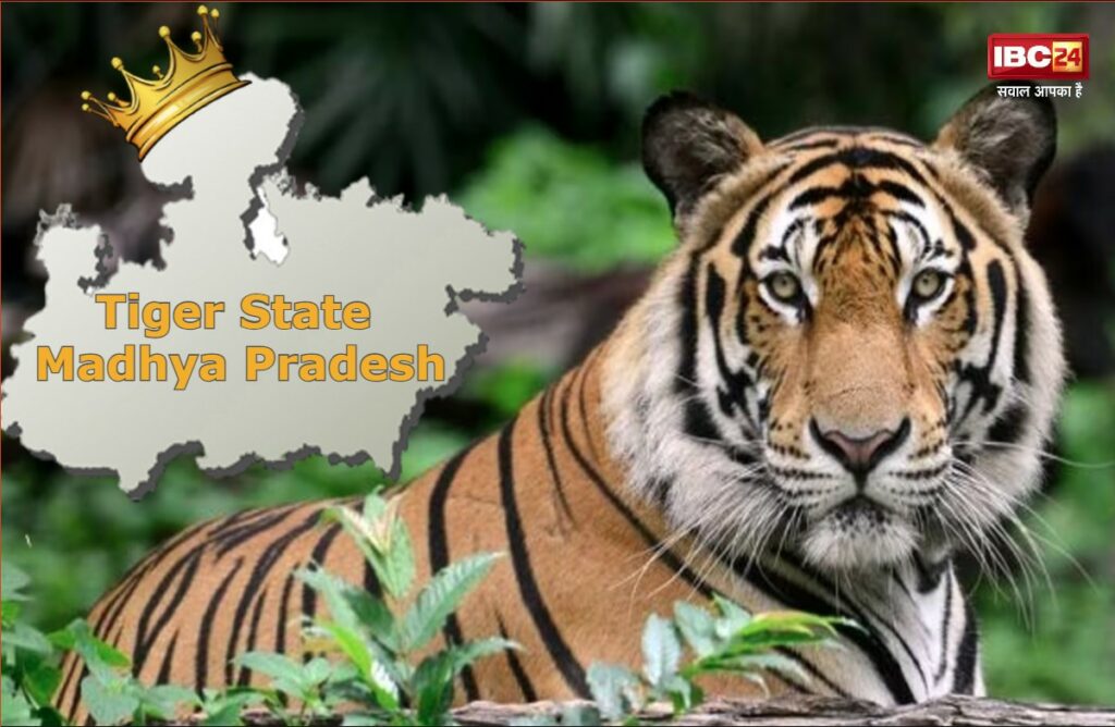 Tiger State Madhya Pradesh