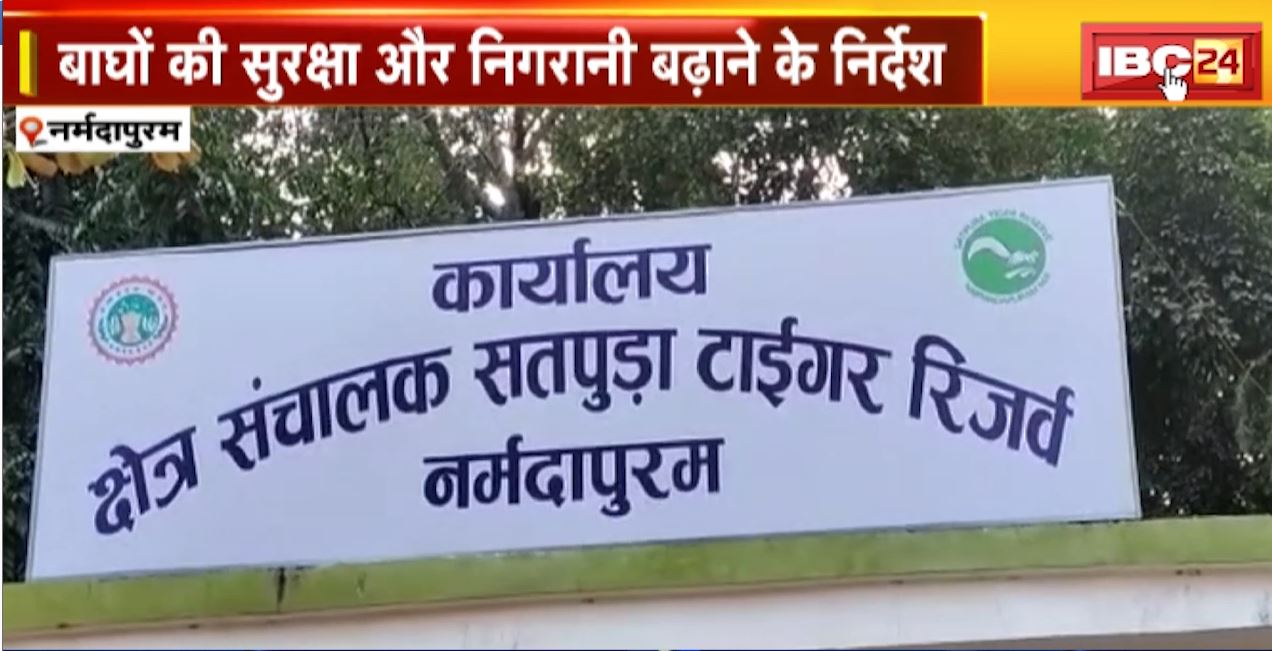सतपुड़ा टाइगर रिजर्व में रेड अलर्ट। बाघों की सुरक्षा और निगरानी बढ़ाने के निर्देश। बाघ का शव मिलने के बाद अलर्ट जारी