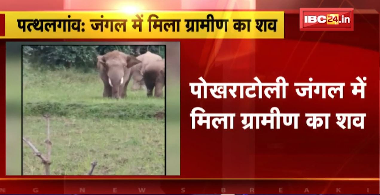 पत्थलगांव के पोखराटोली जंगल में मिला ग्रामीण का शव। ग्रामीण के शव पर हाथी के पैरों के निशान। देखिए…