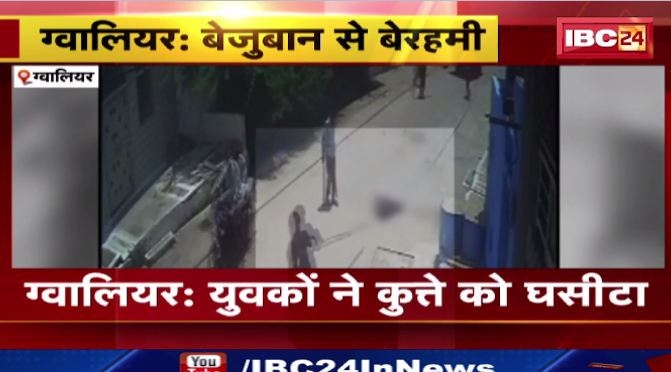 ग्वालियर में युवकों ने कुत्ते को घसीटा। कुत्ते को घसीटने का वीडियो आया सामने। देखिए वीडियो…