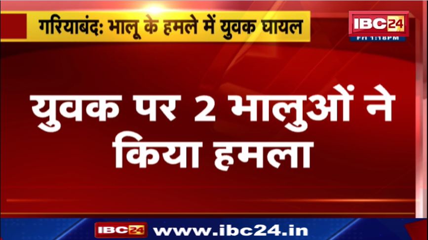गरियाबंद में भालू के हमले से युवक घायल। नदी में नहाने गया था युवक। देखिए वीडियो…
