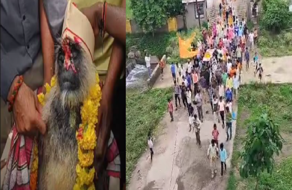 funeral procession of a monkey performed like a human with hindu ritual in mhow