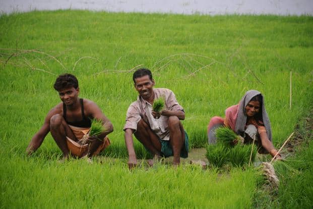 Rani Durgavati Shri Anna Protsahan Yojana: किसानों को एक और बड़ी सौगात, ‘श्रीअन्न प्रोत्साहन योजना’ के तहत प्रति क्विंटल मिलेंगे 1000 रुपए अतिरिक्त