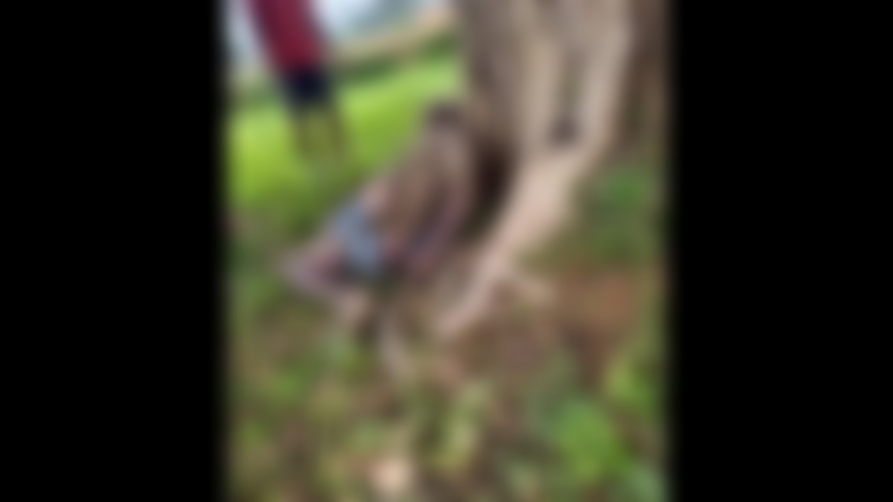 Ambikapur News: आकाशीय बिजली की चपेट में आने से अधेड़ की मौत, बारिश से बचने के लिए बरगद के पेड़ के नीचे आश्रय लेने के लिए खड़ा हो गया था