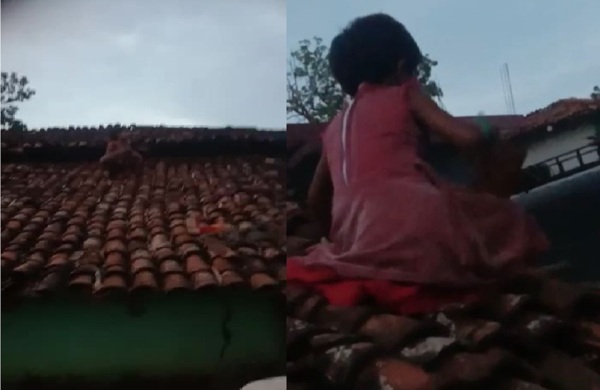 ‘पहिली पइसा दे तब उतरहूं..’ खपरैल की छत पर चढ़ी 4 साल की मासूम बच्ची, जमकर वायरल हो रहा वीडियो