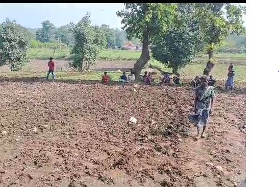 Pendra News: खेत में जुताई कर रहे किसान और बैल की करंट की चपेट में आने से मौत
