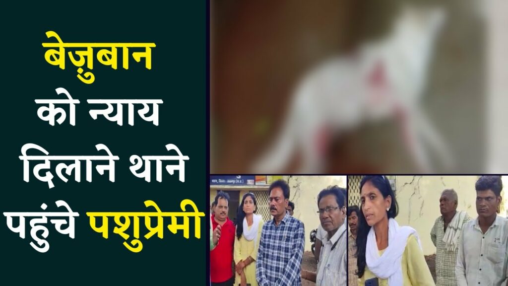 jabalpur dog murder news