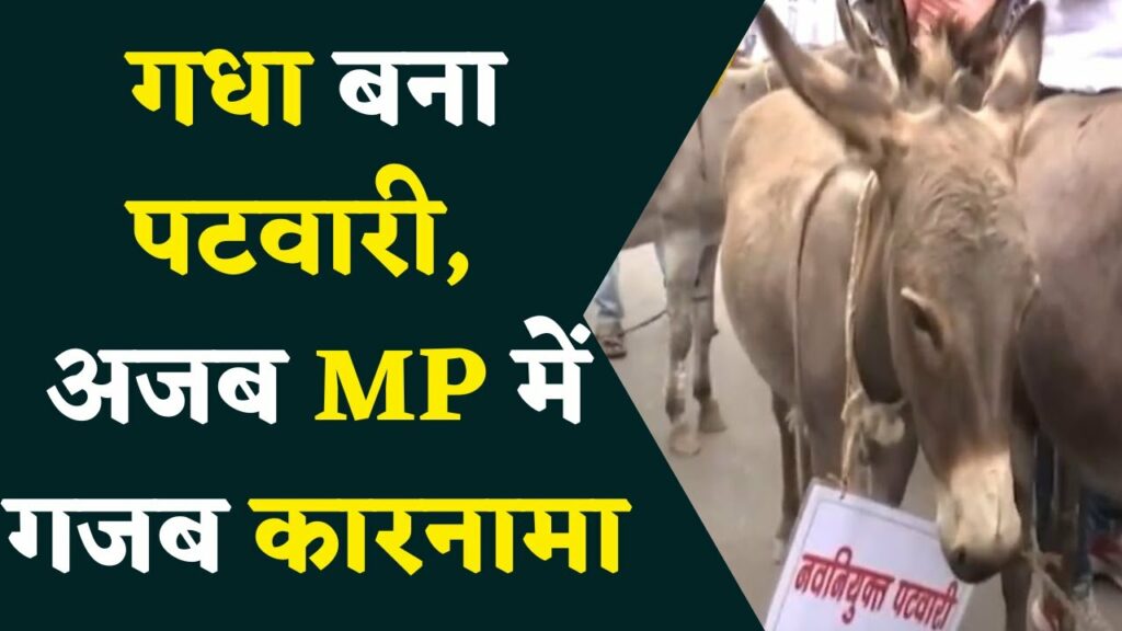 mp patwari scam 2023