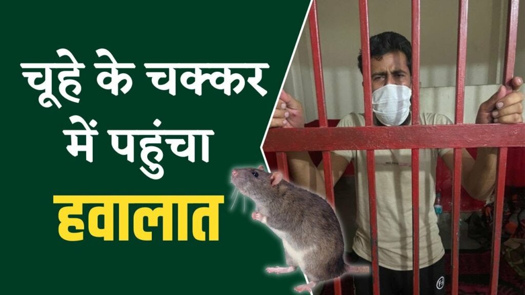 Noida police arrestrd man for killing rat