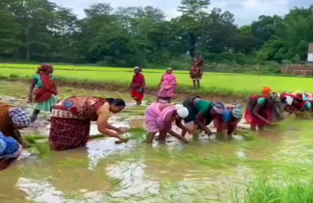 Lok Sabha MP Gomti Sai was seen planting saplings with the women of the village