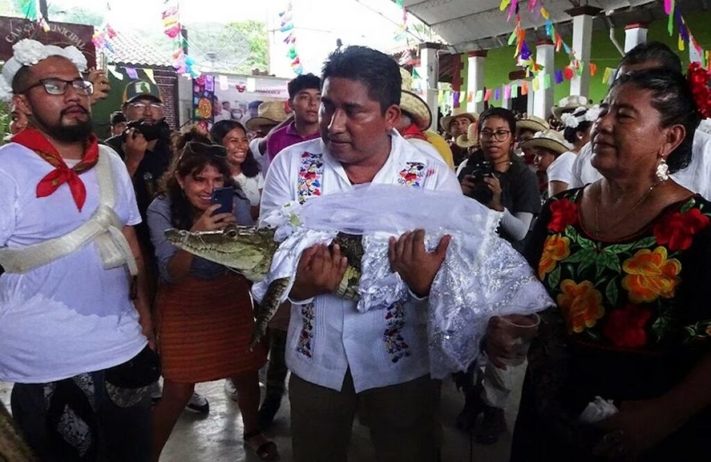 Mayor got married by making crocodile a bride