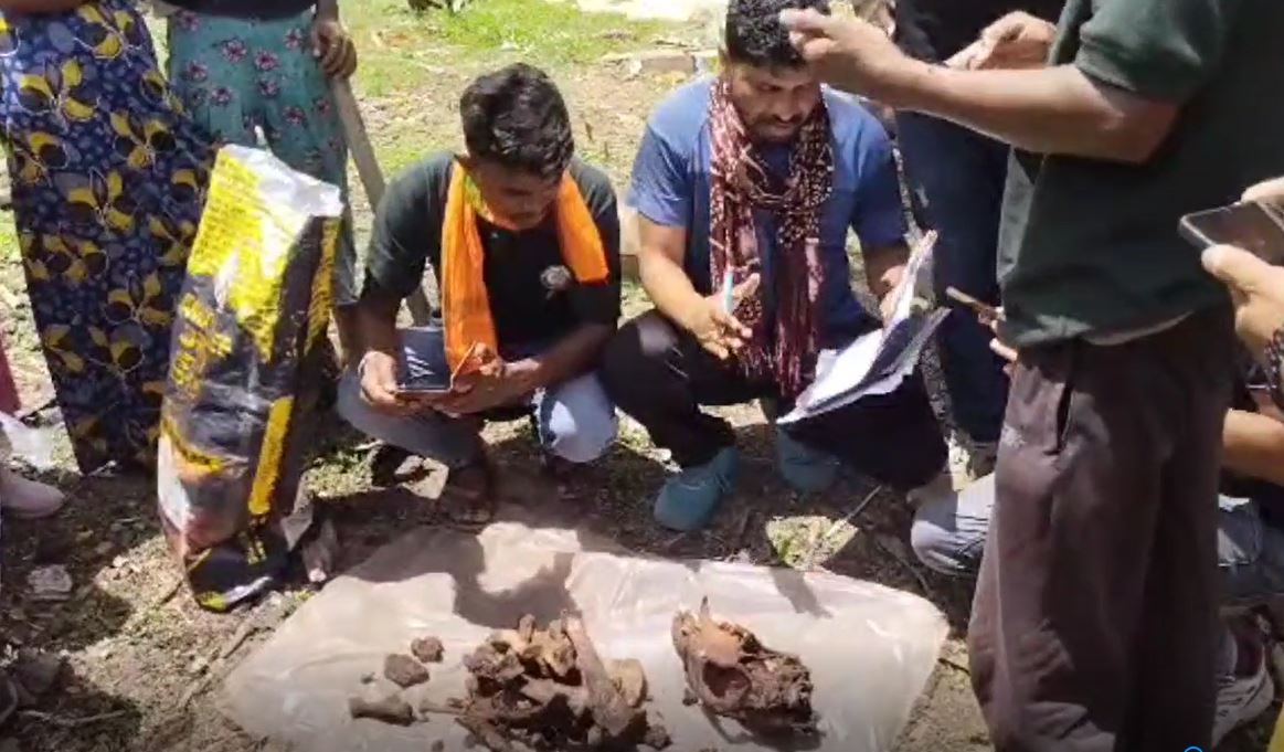 CPRF अफसर पर शिकारियों से बाघ की खाल का सौदा करने के आरोप, DFO ने किया बड़ा खुलासा