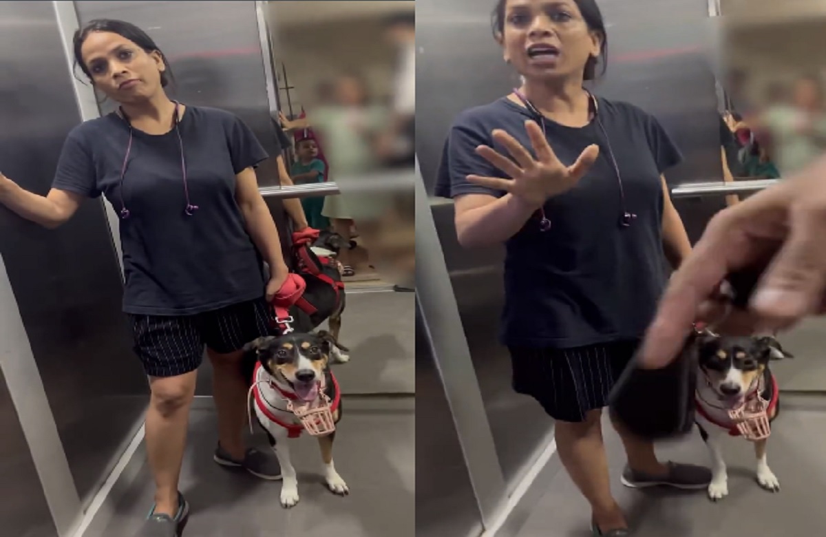 ‘तुम्हारी बीवी से बेहतर हूं…’ जब कुत्ते को लेकर महिला-पुरुष में हो गई बहस, देखें वीडियो