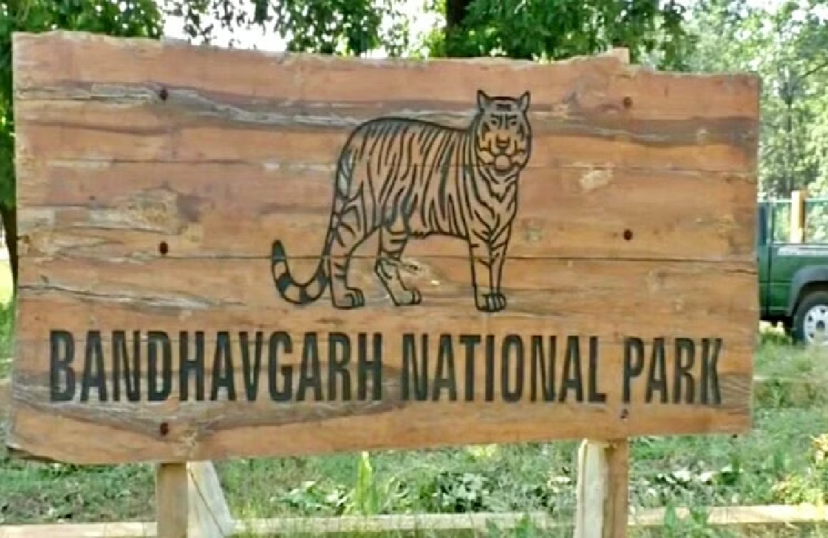 Suspicious death of tigress in Bandhavgarh Tiger Reserve