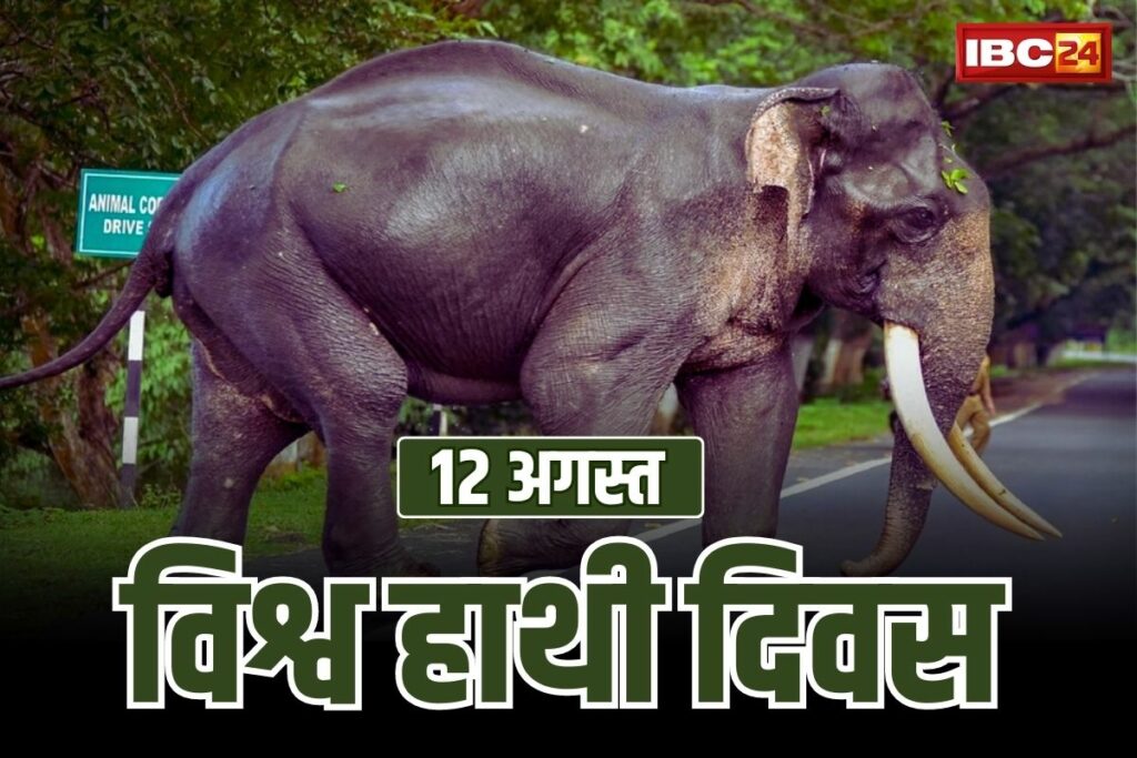 World Elephant Day 2023