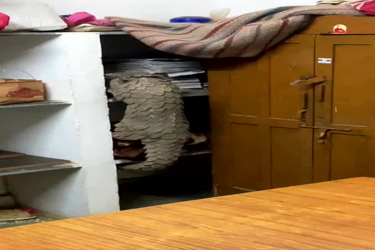 Kharora News: शख्स ने घर के अंदर छिपा रखा था दुर्लभ प्रजाति का जीव, ऐसे हुआ खुलासा