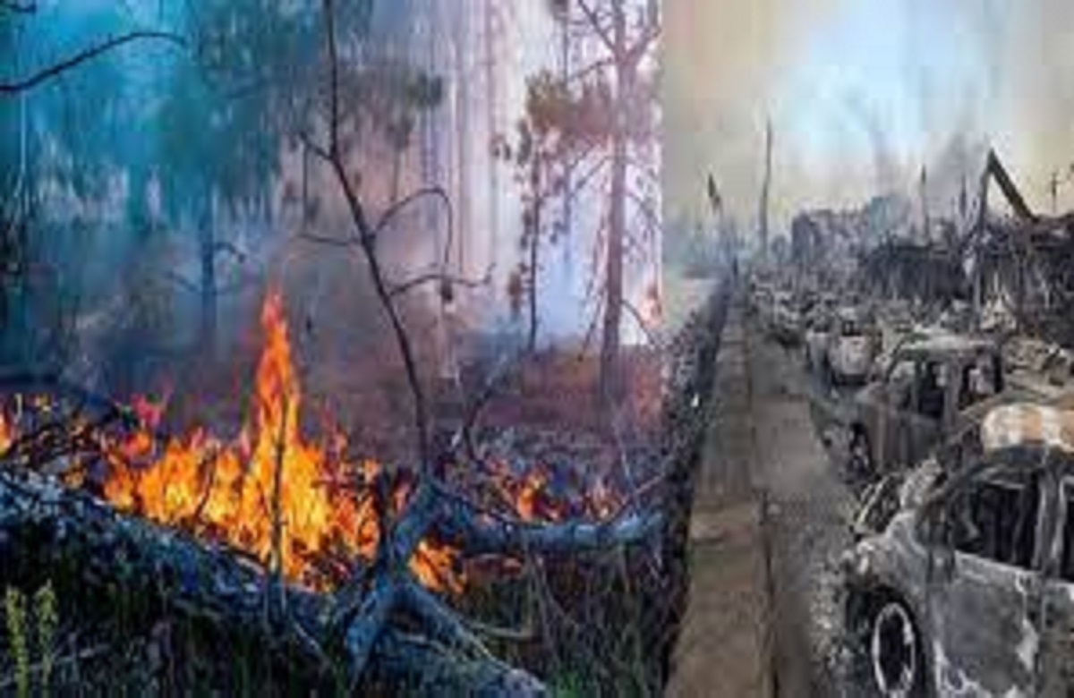 जंगल में लगी भीषण आग ने पूरे शहर को किया खाक, मरने वालों की संख्या बढ़कर हुई 80, हर तरफ तबाही का खौफनाक मंजर
