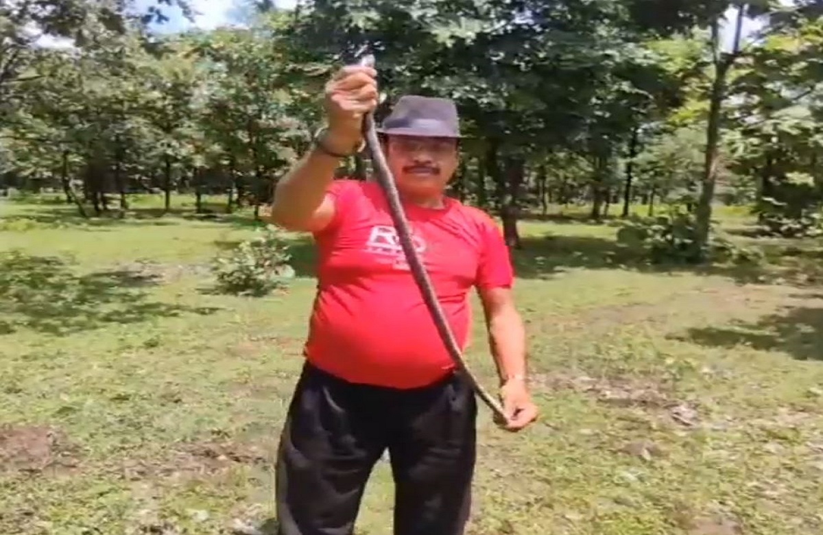 इस शौक को पूरा करने अकील बाबा ने पकड़े थे नाग-नागिन सहित अन्य प्रजाति के सांप, नाग पंचमी पर किया आजाद