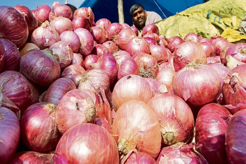 Aaj Ka Tamatar Ka Bhav