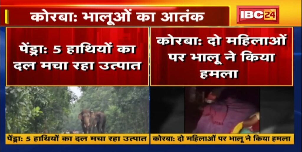 Bear attacked two women in Korba