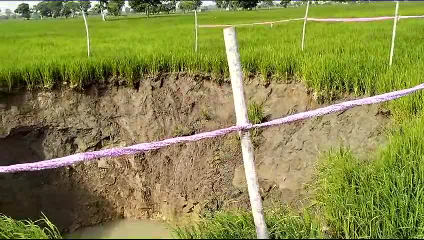 Dhamtari News: धान के खेत में अचानक हुआ ऐसा की उड़े किसान के होश, परेशान किसान ने की मुआवजे की मांग