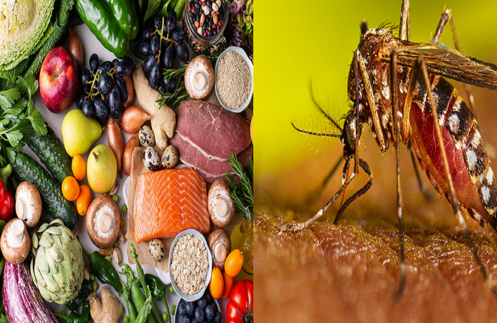 Dengue Diet: Avoid these foods in dengue fever