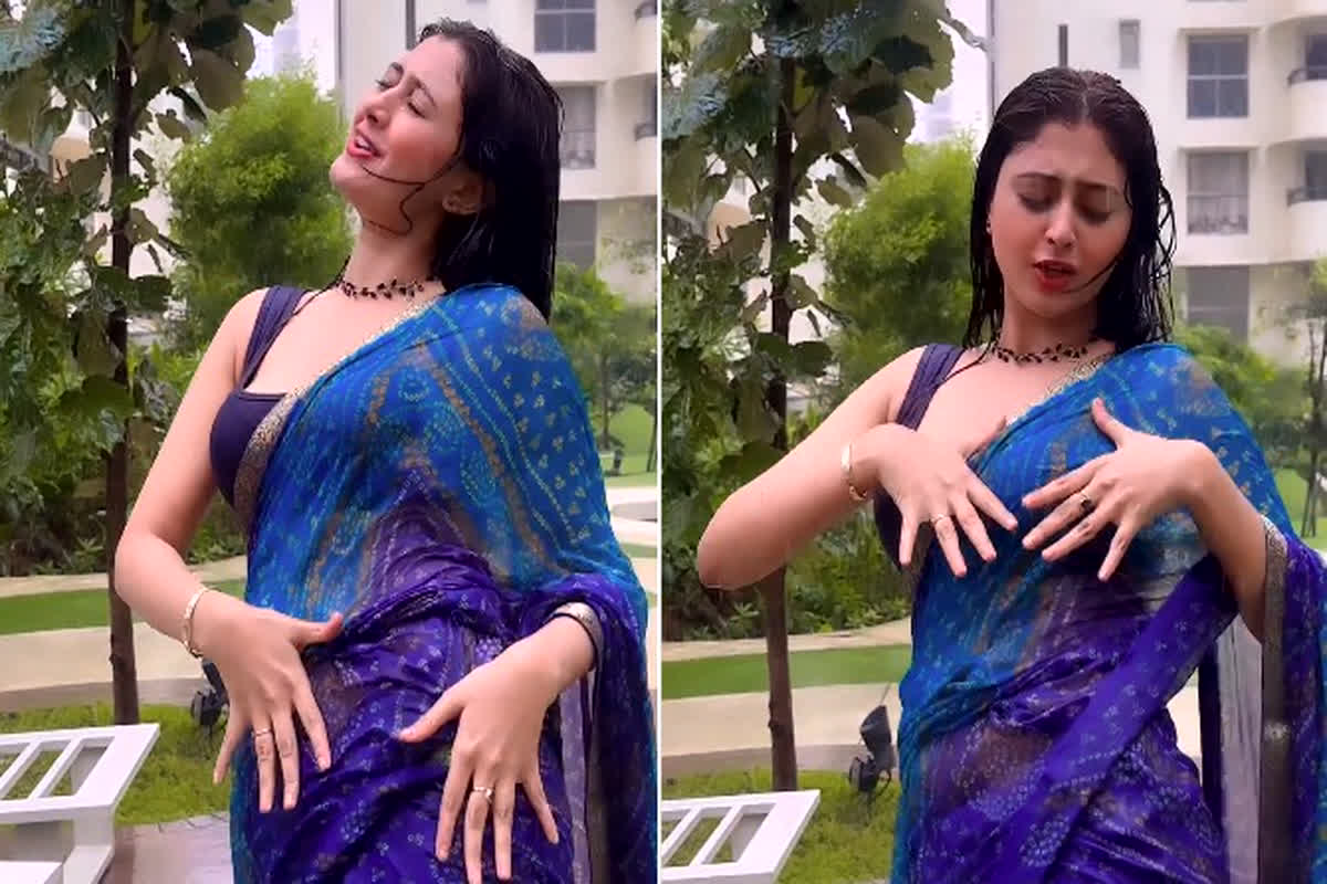 Desi bhabhi hot video