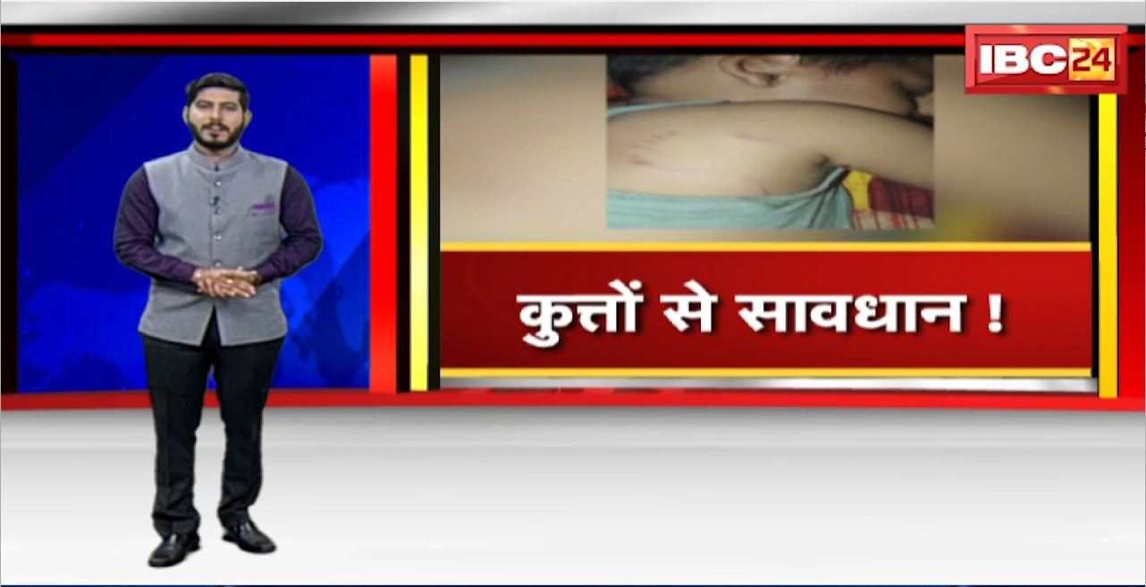 Dog Attack in Raipur : आदर्श नगर इलाके में आवारा कुतों का आतंक। 4 मासूम बच्चों को कुत्तों ने काटा
