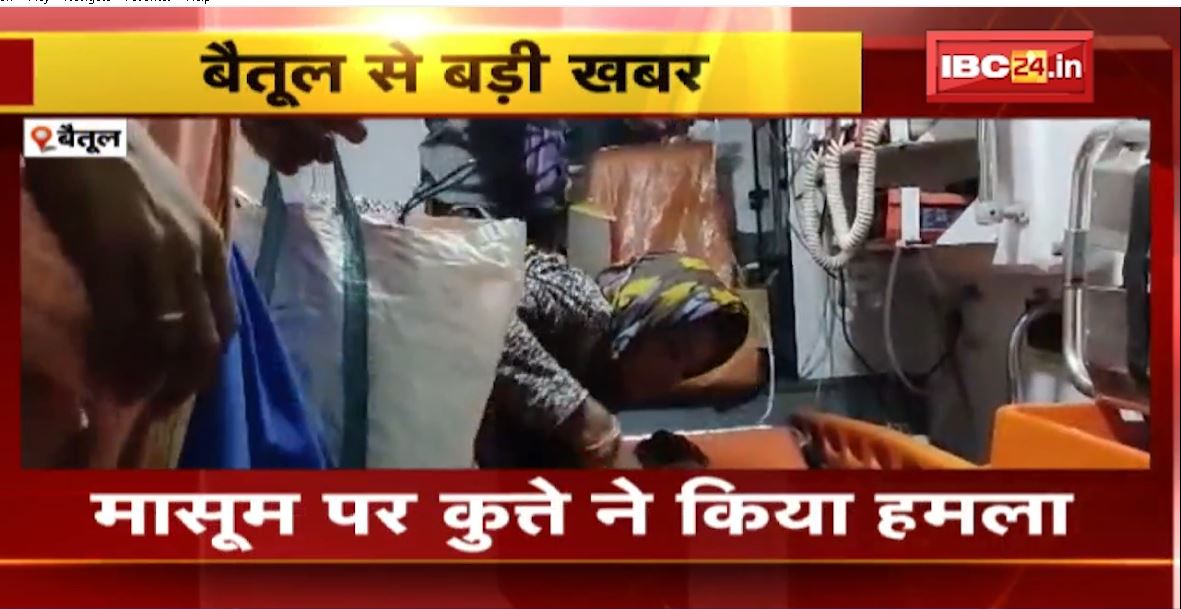 Betul में कुत्ते ने बच्चे के प्राइवेट पार्ट को नोचा। घर में घुसकर कुत्ते ने मासूम पर किया हमला। देखिए..