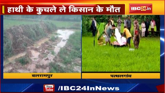 पत्थलगांव और बलरामपुर में हाथियों का आतंक। पत्थलगांव में हाथियों के कुचलने से ग्रामीण की मौत । देखिए वीडियो..