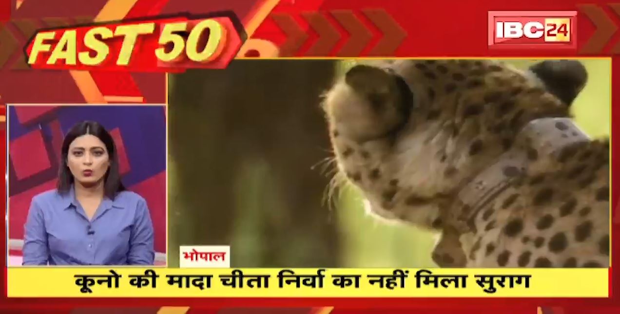 कूनो की मादा चीता निर्वा का नहीं मिला सुराग | Fast 50 | Watch The Latest Top 50 News Of The Day