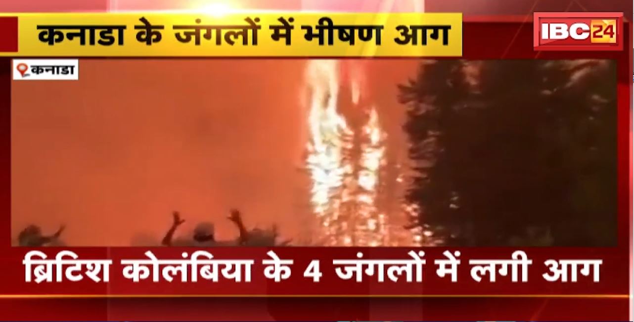 Canada : ब्रिटिश कोलंबिया के 4 जंगलों में लगी आग। आग के कारण पलायन को मजबूर हुए स्थानीय