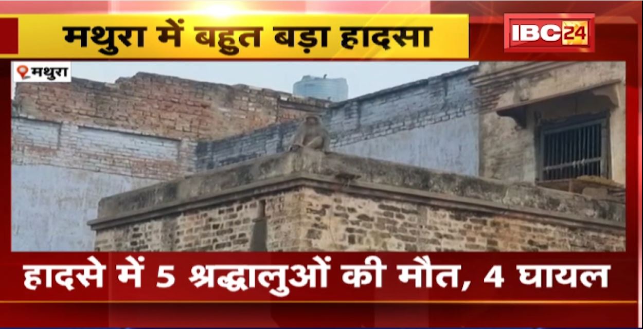 बंदरों की लड़ाई से मची अफरातफरी। लोगों की भागदौड़ में गिरी घर बालकनी, हादसे में 5 लोगों की मौत। देखिए..