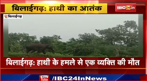 Bilaigarh में हाथी के हमले से एक व्यक्ति की मौत। वन विभाग की टीम ने लोगों को किया अलर्ट। देखिए वीडियो..